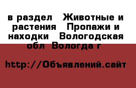  в раздел : Животные и растения » Пропажи и находки . Вологодская обл.,Вологда г.